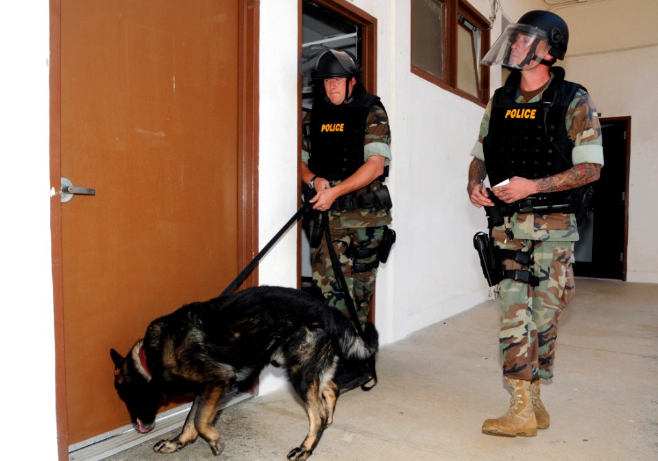 US Navy 090325-N-3666S-073 Master-At-Arms 2nd Class Michael Hartter, left, and Master-At-Arms 2nd Class Jeye Pena search a building with military working dog, Bady