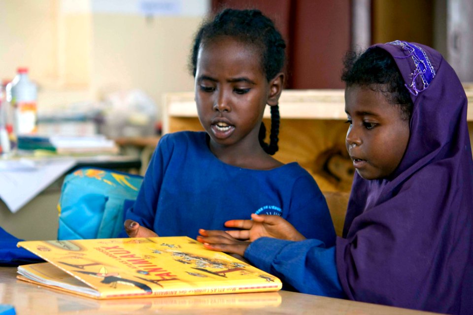 US Navy 090324-N-9552I-051 Local Djiboutian students from the Chabellier School read newly donated educational books