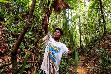 USAID Measuring Impact Conservation Enterprise Retrospective (Philippines; Nagkakaisang Tribu ng Palawan) (40293374301)