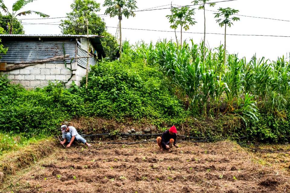 USAID Measuring Impact Conservation Enterprise Retrospective (Philippines; Kalahan Educational Foundation) (39395259715)