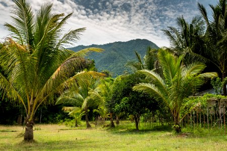 USAID Measuring Impact Conservation Enterprise Retrospective (Philippines; Nagkakaisang Tribu ng Palawan) (40247994312)