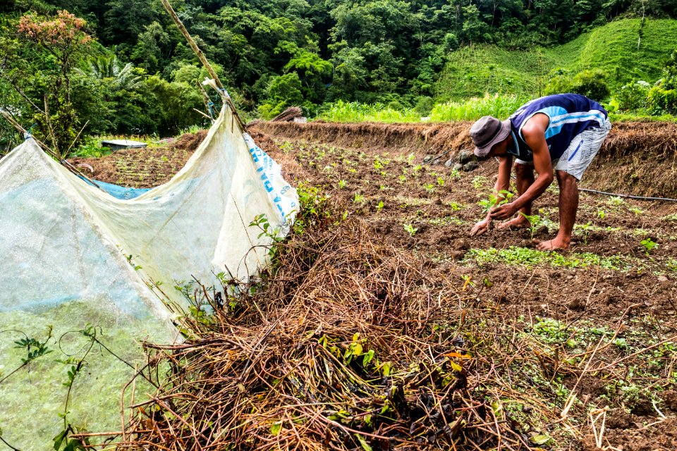USAID Measuring Impact Conservation Enterprise Retrospective (Philippines; Kalahan Educational Foundation) (40247441962)