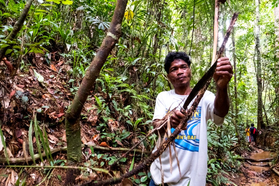 USAID Measuring Impact Conservation Enterprise Retrospective (Philippines; Nagkakaisang Tribu ng Palawan) (26420912338)