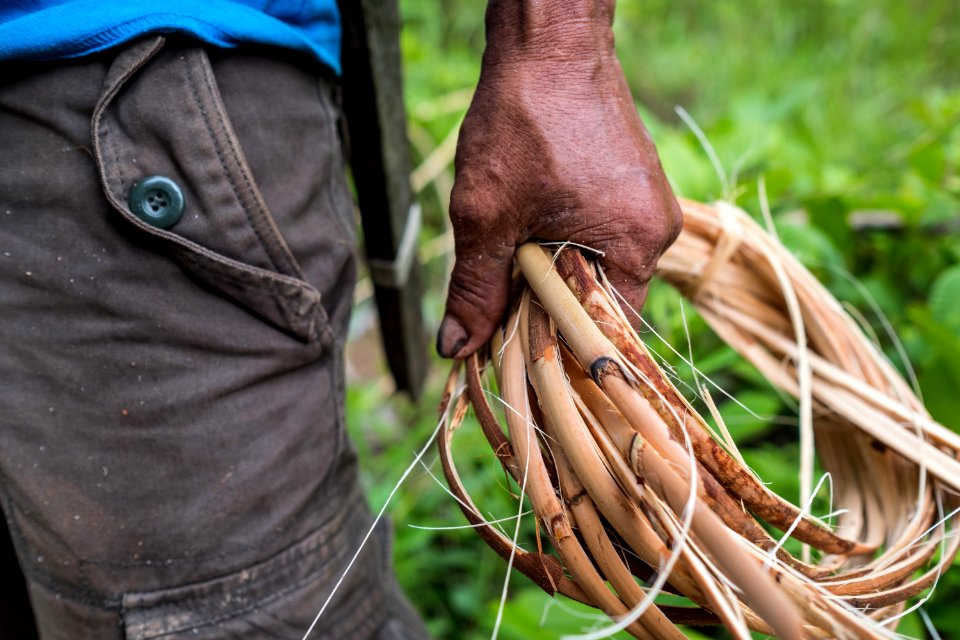 USAID Measuring Impact Conservation Enterprise Retrospective (Philippines; Nagkakaisang Tribu ng Palawan) (40293147301)