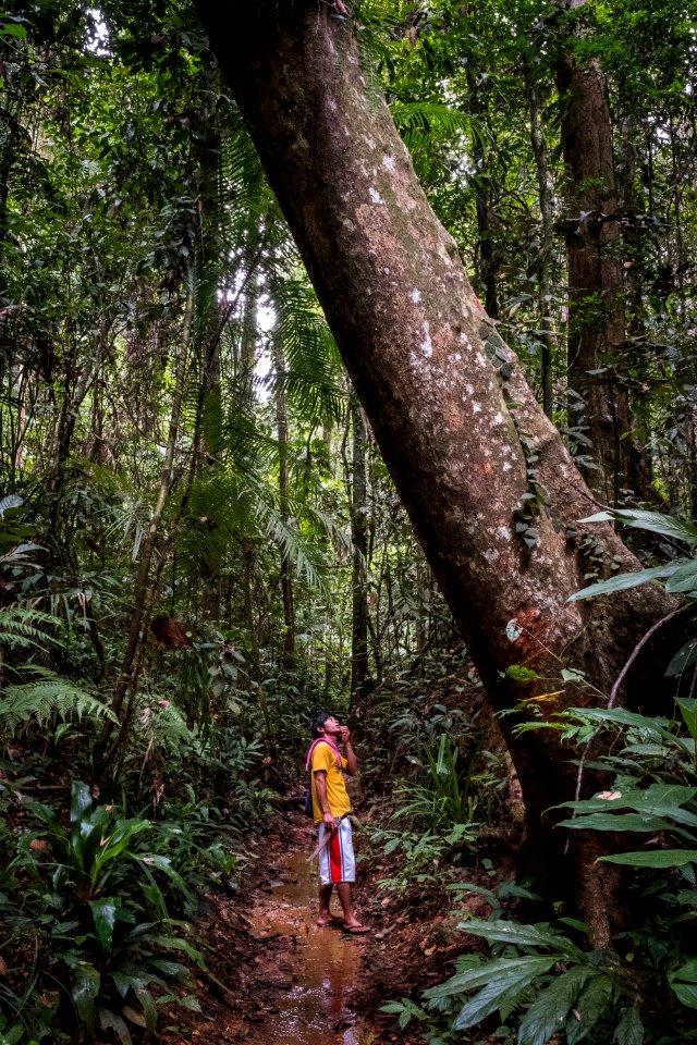 USAID Measuring Impact Conservation Enterprise Retrospective (Philippines; Nagkakaisang Tribu ng Palawan) (40248117972)