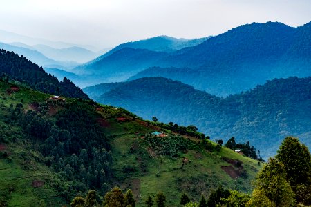 USAID Measuring Impact Conservation Enterprise Retrospective (Uganda; International Gorilla Conservation Program) (25422552517)