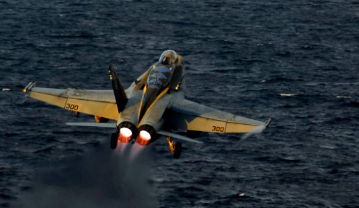 US Navy 090328-N-6538W-004 An F-A-18C Hornet from the