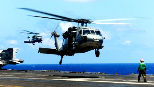 US Navy 090328-N-9928E-053 An MH-60S Sea Hawk helicopter lands aboard the aircraft carrier USS John C. Stennis (CVN 74)