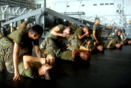 US Navy 090331-N-6552M-017 Marines assigned to the 13th Marine Expeditionary Unit (13th MEU) practice ground fighting skills aboard the amphibious assault ship USS Boxer (LHD 4)