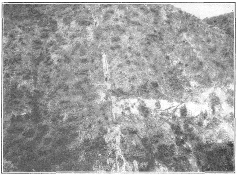 USGS Bulletin787 Plate12 FigureA Pacific Vein on South Alpine Claim