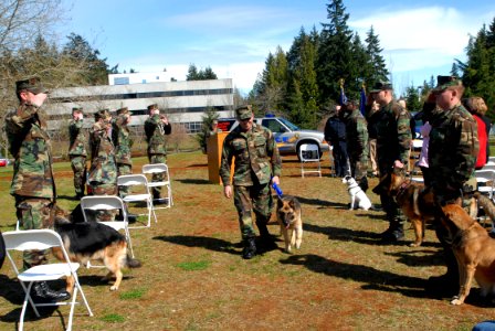 US Navy 090414-N-2143T-002 Military Working Dog photo