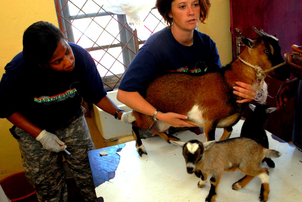 US Navy 090408-N-1688B-182 Maj. Julie Stephens-Devalle and Spc. Helen Loar, military veterinarians embarked aboard the amphibious transport dock ship USS Nashville (LPD 13), conduct an Africa Partnership Station veterinary comm