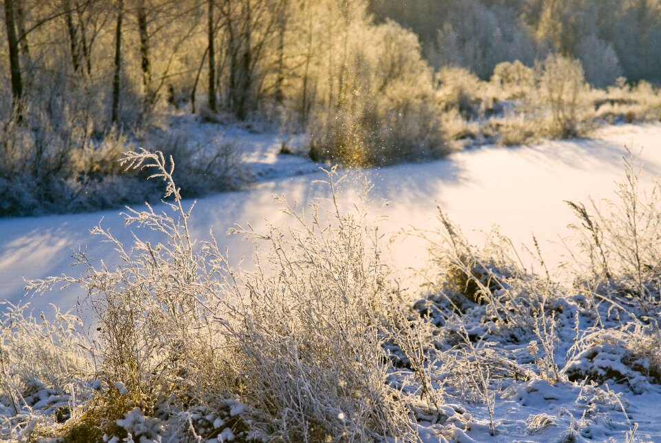Winter landscape nature
