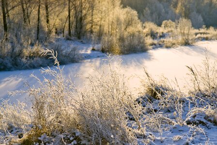 Winter landscape nature