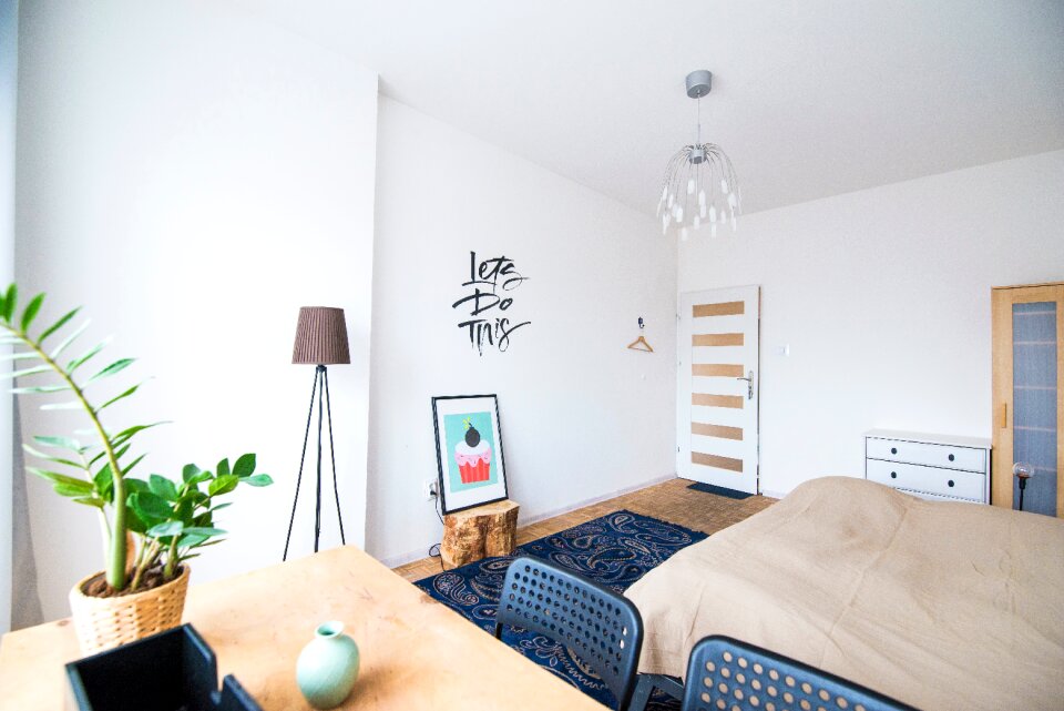 Plant lampshade frame