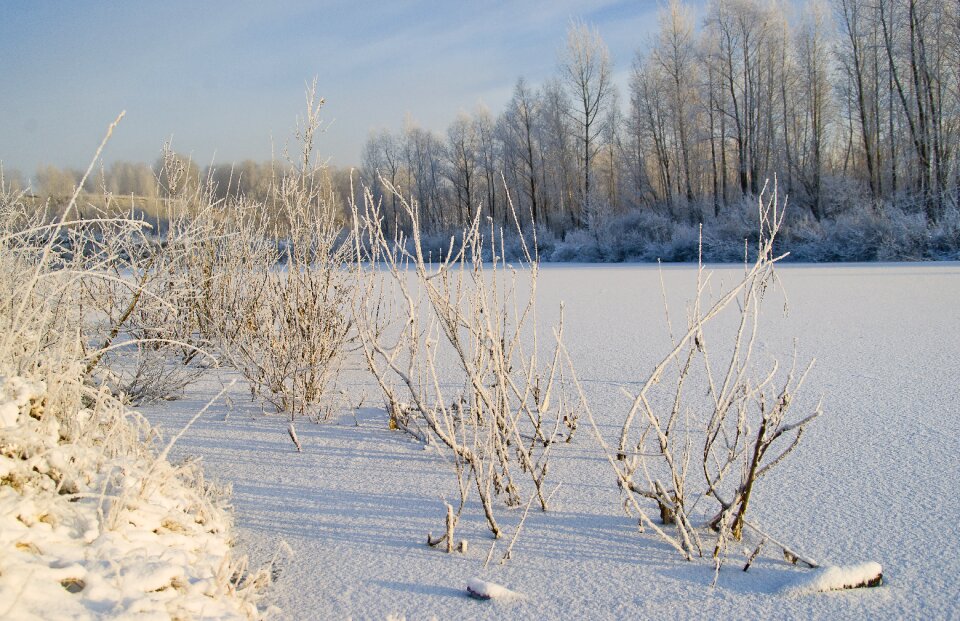 Winter landscape nature
