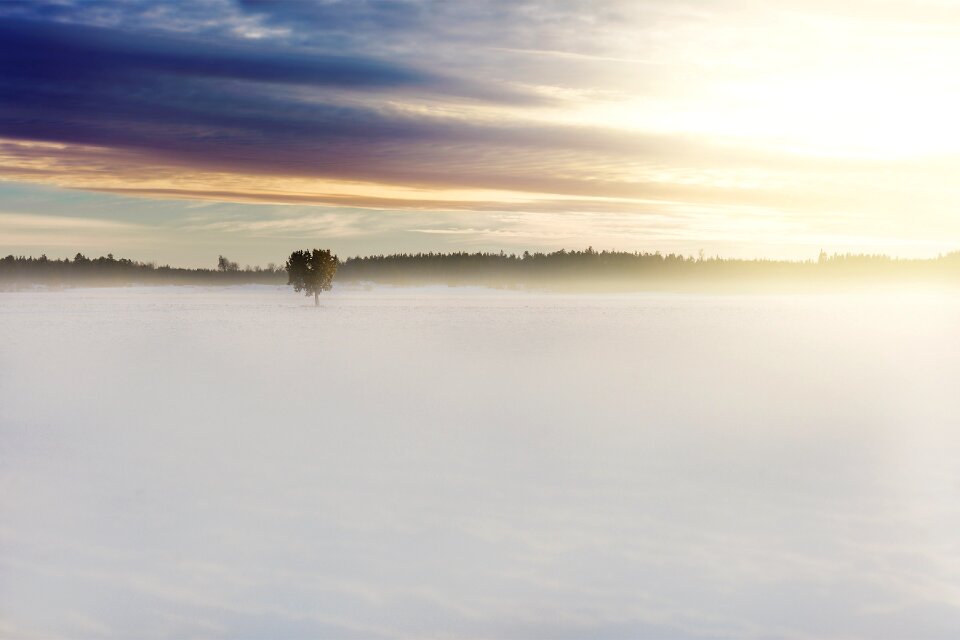 Fog white sky
