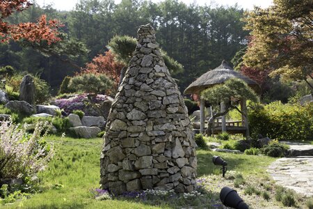 Landscaping outdoor structure plant
