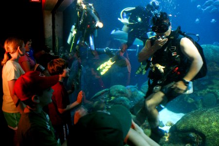 US Navy 090608-N-3271W-053 Sailors assigned to Mobile Diving and Salvage Unit (MDSU) 2 based in Little Creek, Va., dive in the Tennessee Aquarium saltwater tank during a Chattanooga Navy Week event