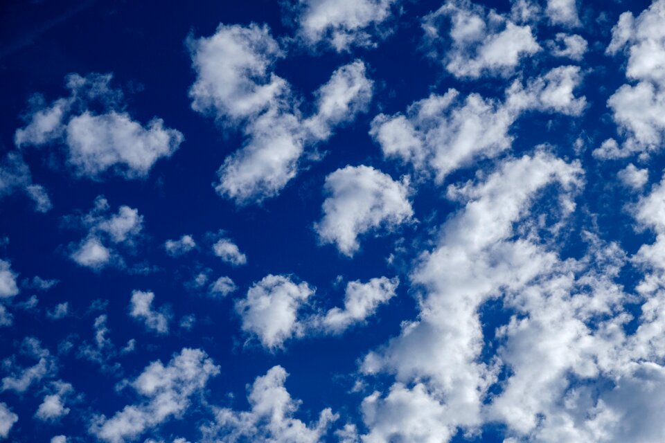 Background summer season