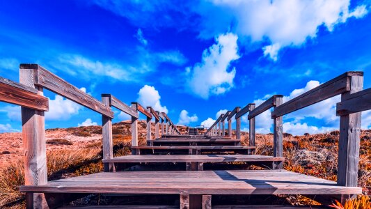 Algarve landscape wooden