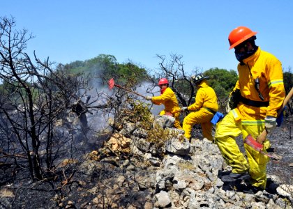 US Navy 090711-N-0780F-003 Naval Support Activity, Souda Bay civilian firefighters mop up the remnants of a brush fire near the village of Pazinos in western Crete photo