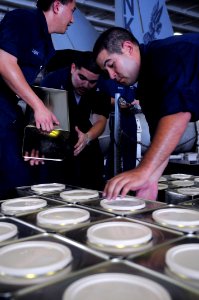 US Navy 090716-N-3610L-070 Electronics Technician Seaman Christopher Hahn, unloads a pallet of flour in the hangar bay of the aircraft carrier USS Ronald Reagan (CVN 76) during a replenishment at sea