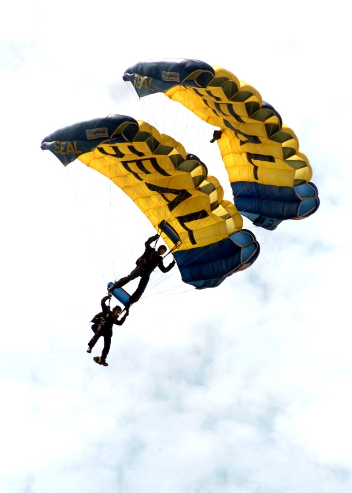 US Navy 090718-N-9301W-004 Members of the U.S. Navy Parachute Team, the Leap Frogs, flare their parachutes before landing on the beach during a capabilities demonstration at Naval Amphibious Base, Little Creek, Va