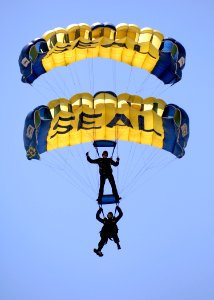 US Navy 090718-N-8949D-072 Members of the U.S. Navy Parachute Team, the Leap Frogs, flare their parachutes before landing on the beach during a capabilities demonstration at Naval Amphibious Base Little Creek, Va