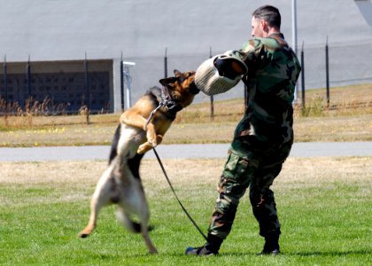 US Navy 090717-N-9860Y-003 Master-at-Arms 2nd Class Scott Rafaelson, from McPherson, Kan. assigned to the Security department of Naval Air Station Whidbey Island photo