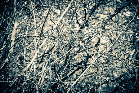 Rough nature gray abstract