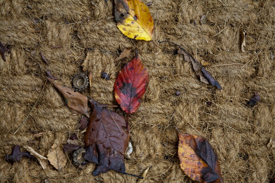 Autumn climbing trail