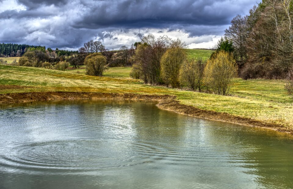 Grass landscape biotope