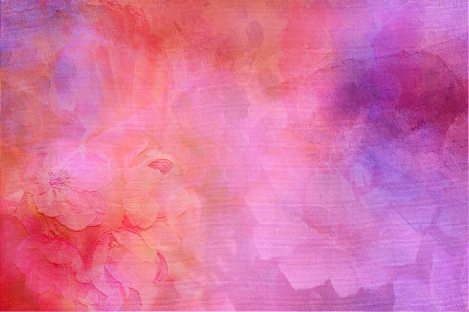 Pink purple cherry blossom transparent