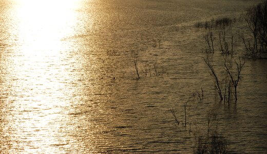 Reflection sunlight summer