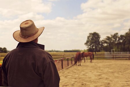 Horse ride summer photo