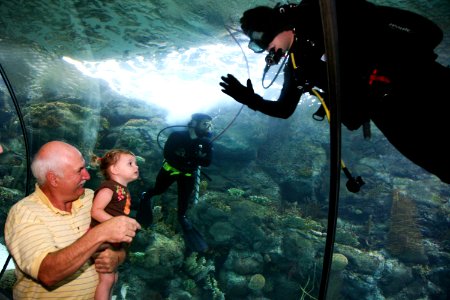 US Navy 090826-N-3271W-016 Senior Chief Explosive Ordnance Disposal Technician Jason Sparks communicates with a patron at Henry Doorly Zoo in Omaha