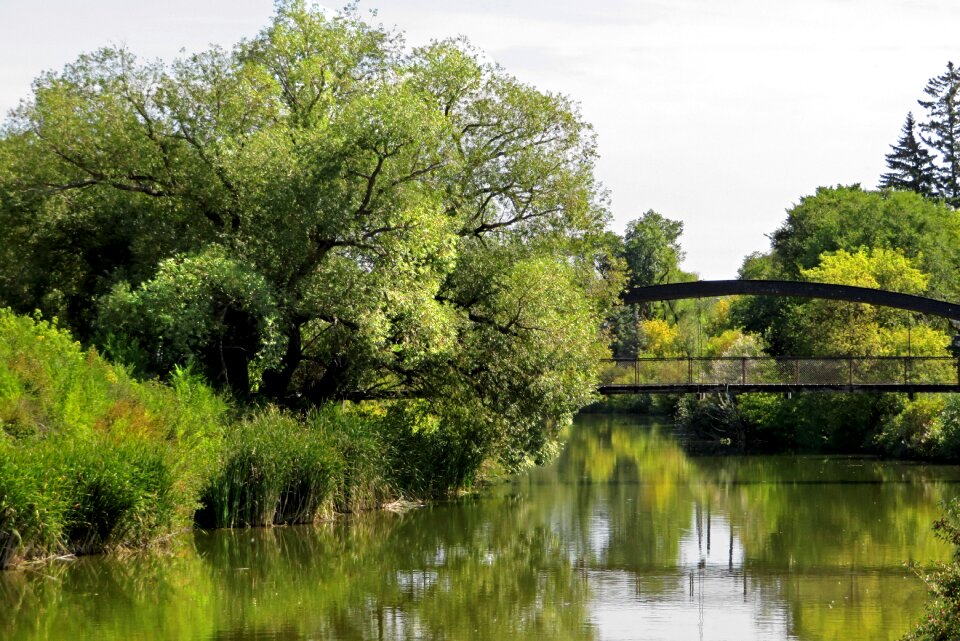 Water creek landscape photo