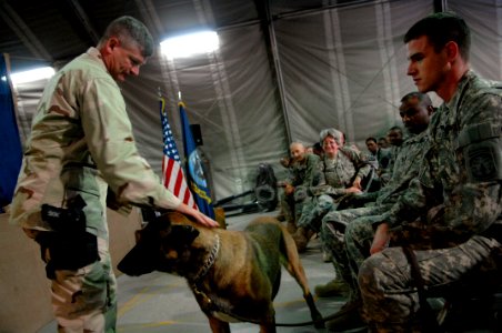 US Navy 090909-N-9818V-200 Master Chief Petty Officer of the Navy (MCPON) Rick West pets Branco, a military working dog, as he speaks with military working dog handler Master-at-Arms 3rd Class Chris Shields photo