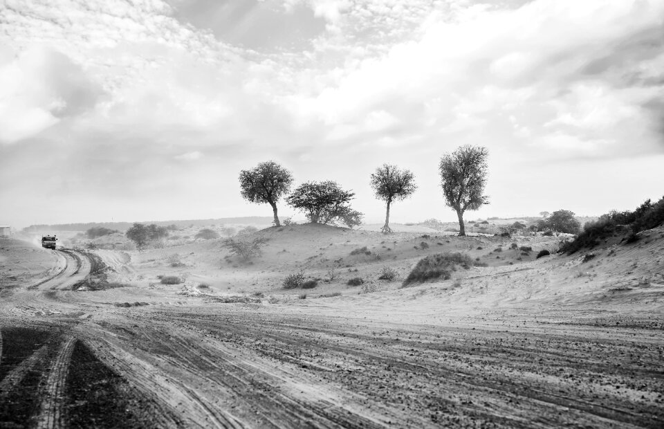 Road landscape tropical