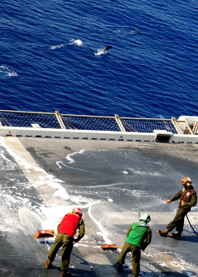 US Navy 091002-N-3165S-231 Marines from Marine Medium Tiltrotor Squadron (VMM) 263 (Reinforced), 22nd Marine Expeditionary Unit (22nd MEU), scrub the flight deck of the multi-purpose amphibious assault ship USS Bataan (LHD 5) w