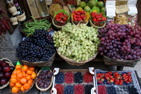 Tourism gastronomy tuscan