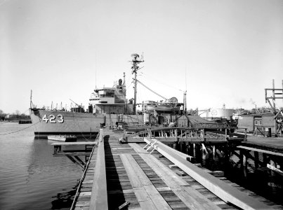 USS Avenge (MSO-423) fitting out c1954