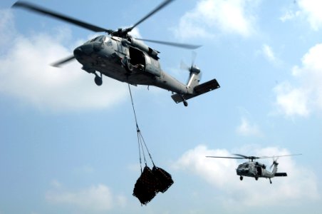 US Navy 091022-N-3038W-822 Two MH-60S Sea Hawk helicopters