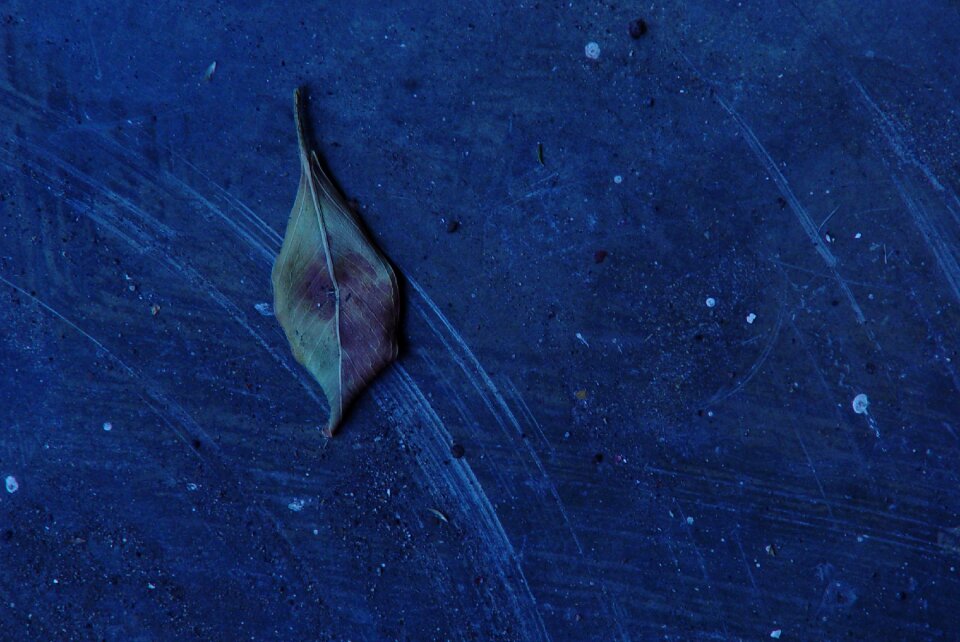 Cast-off floor blue