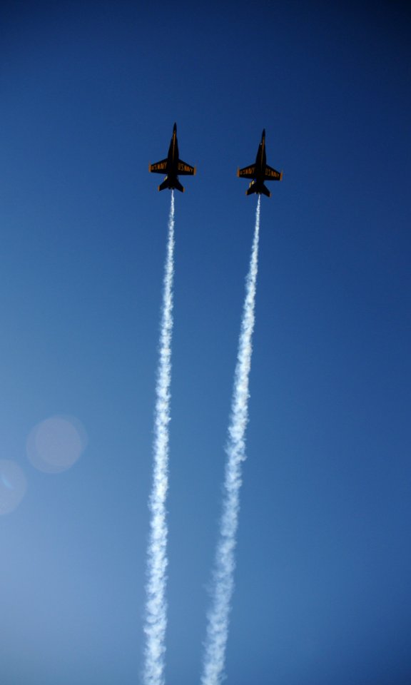 US Navy 091031-N-5208T-005 The U.S. Navy flight demonstration squadron, the Blue Angels, perform during the Wings Over Houston Air Show at Ellington Field