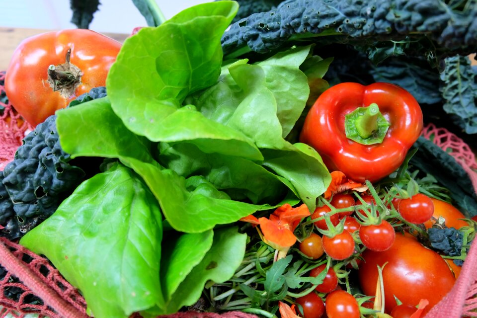 Vegetable in good health fruit