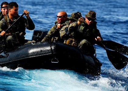 US Navy 091108-N-0807W-025 Marines assigned to the 31st Marine Expeditionary Unit (31st MEU) disembark the amphibious dock landing ship USS Harpers Ferry (LSD 49) during an amphibious integration training exercise photo