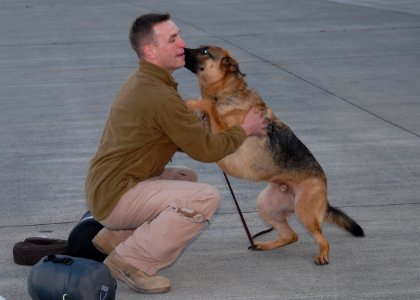 US Navy 091112-N-9860Y-006 Lt. Luke Brown s greeted by his German shepherd, Smokey, at the Naval Air Station Whidbey Island flight line photo