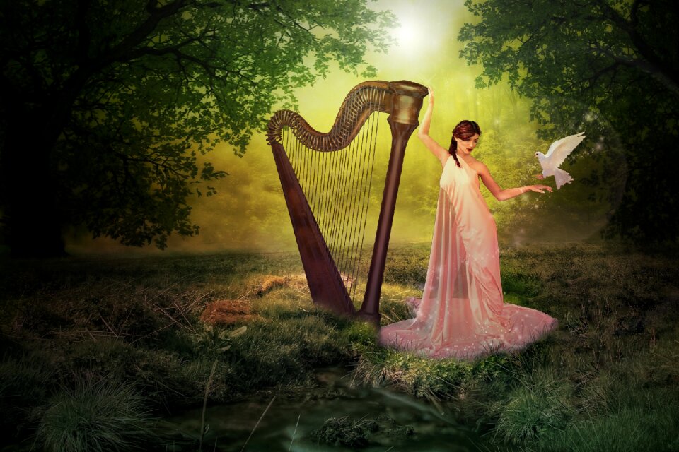 Forest fairy pigeon